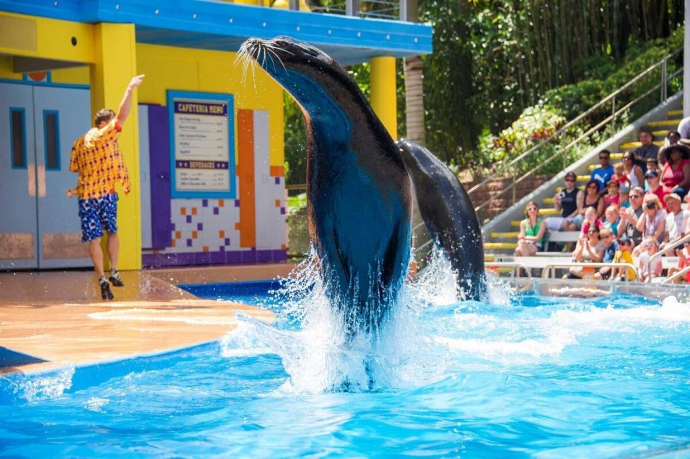 Superb House By Seaworld, Private Pool & Gameroom San Antonio Exterior photo